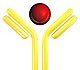 Modification-state-specific antibody services